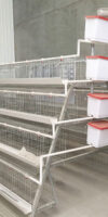 MODERN-LAYER-BATTERY-CHICKEN-CAGES-(fully-automated)